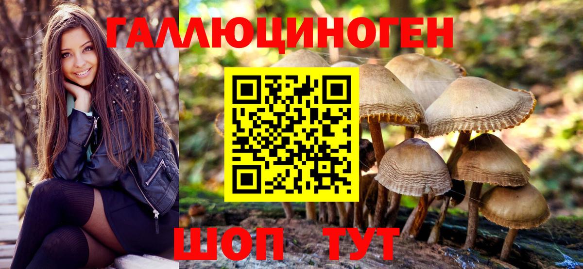Галлюциногенные грибы MAGIC MUSHROOMS Светлоград