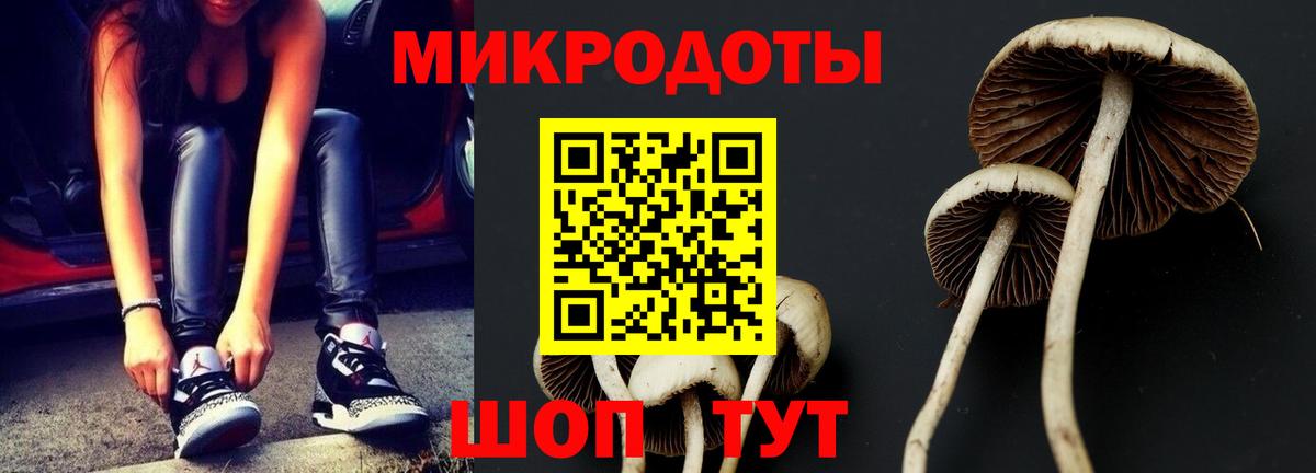 Псилоцибиновые грибы Cubensis  Вход с VPN  Светлоград 